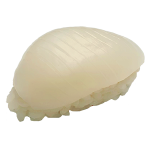 256. Nigiri Ika 256. Nigiri Ika